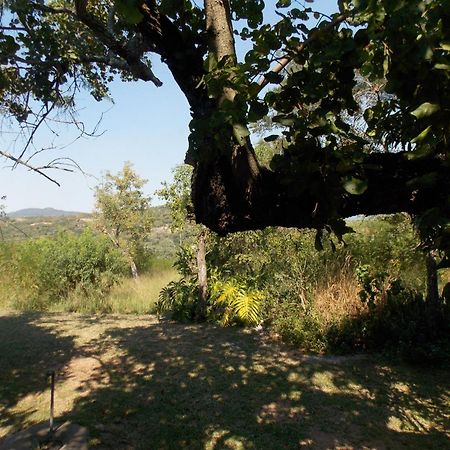 Leopard Tree Retreat Villa Mbombela Ngoại thất bức ảnh