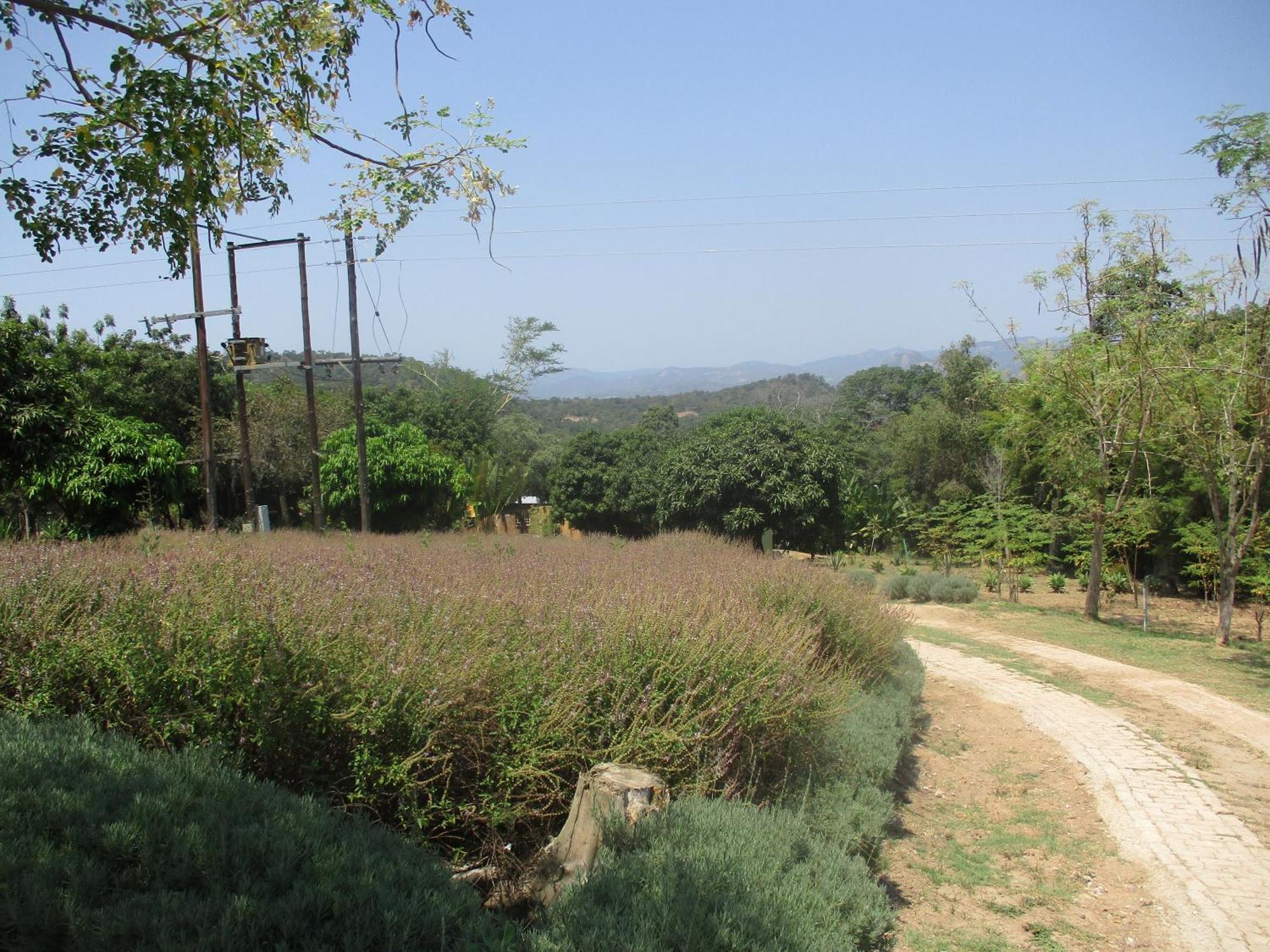 Leopard Tree Retreat Villa Mbombela Ngoại thất bức ảnh