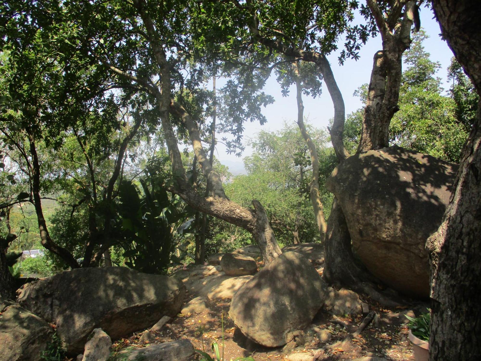Leopard Tree Retreat Villa Mbombela Ngoại thất bức ảnh