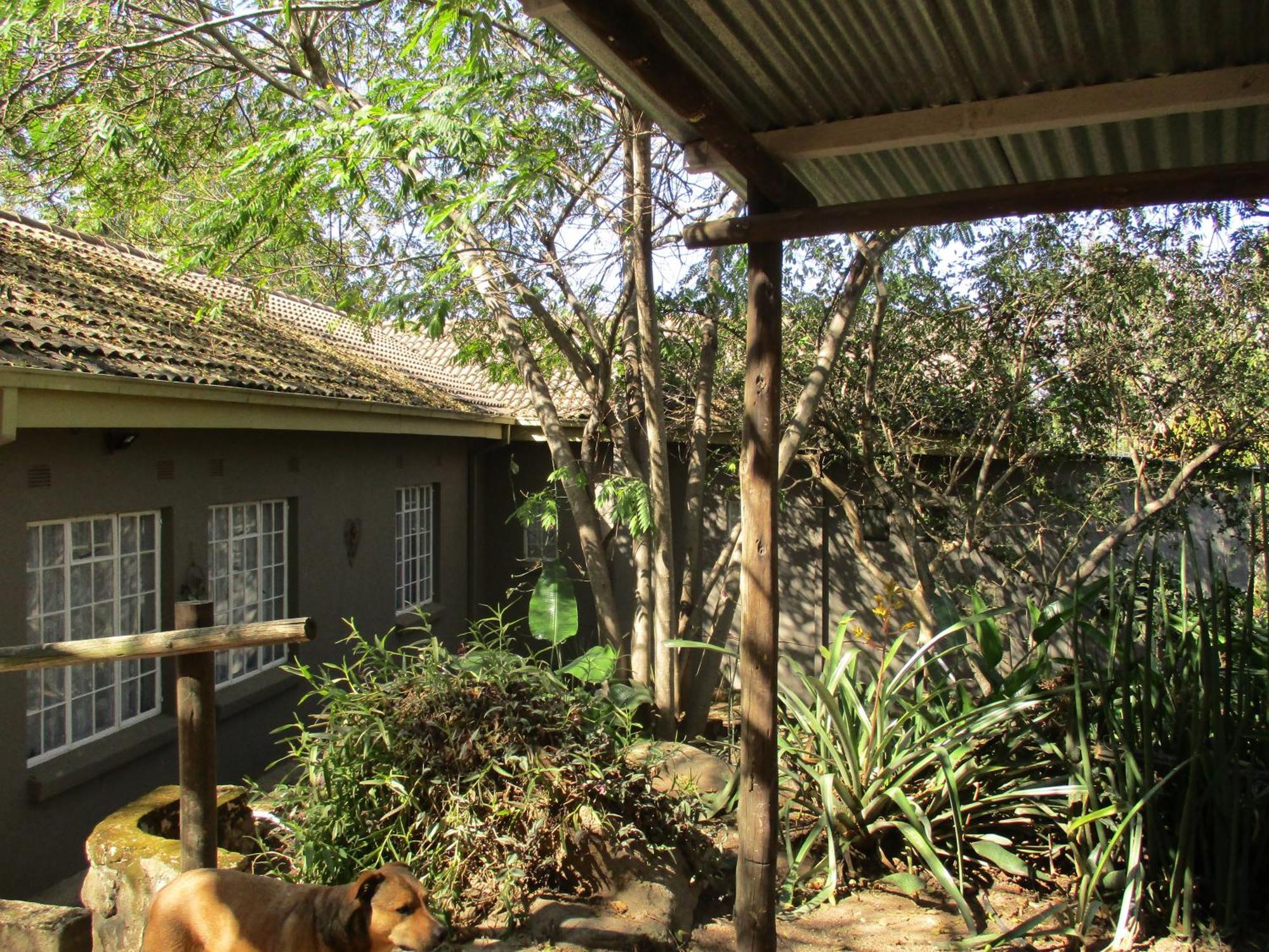 Leopard Tree Retreat Villa Mbombela Ngoại thất bức ảnh