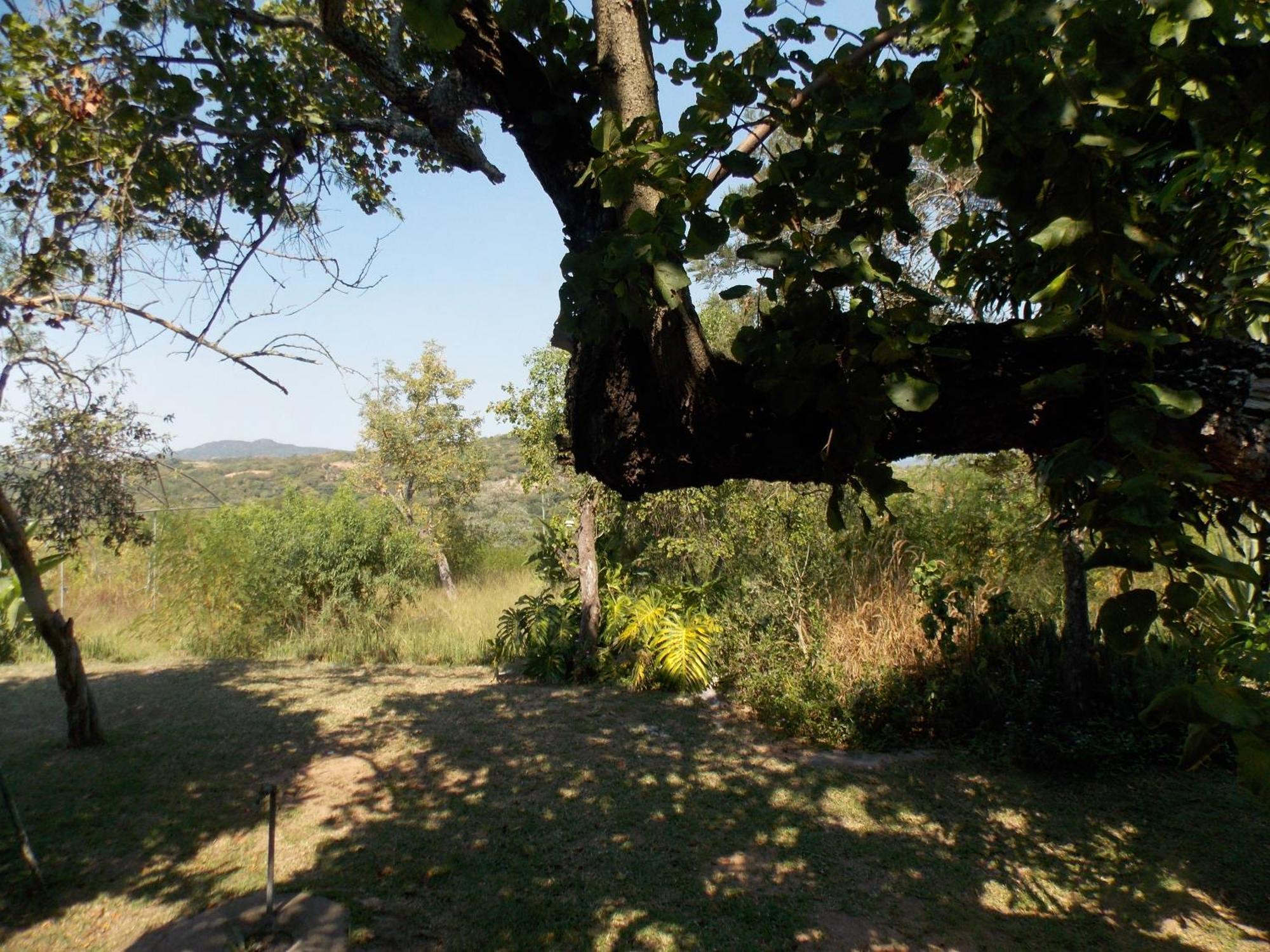 Leopard Tree Retreat Villa Mbombela Ngoại thất bức ảnh