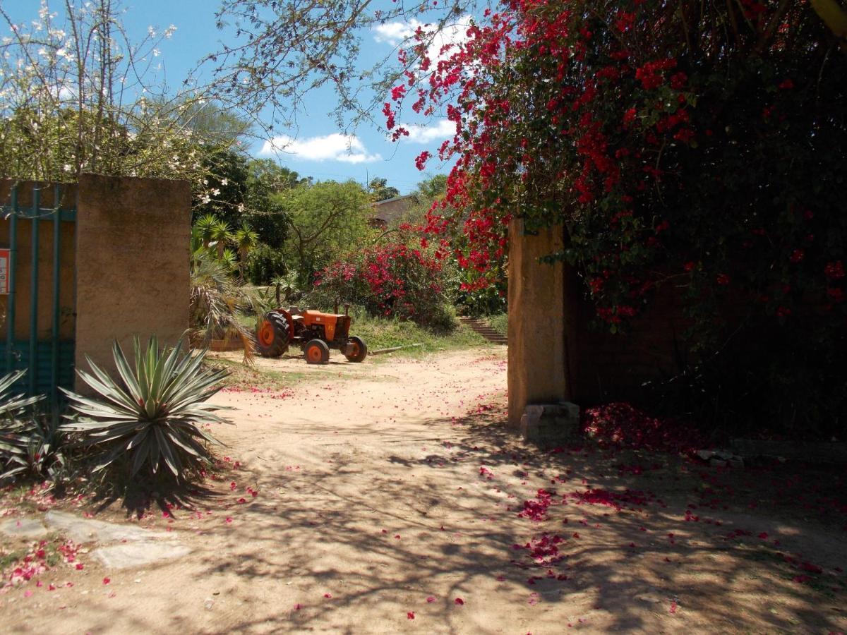 Leopard Tree Retreat Villa Mbombela Ngoại thất bức ảnh
